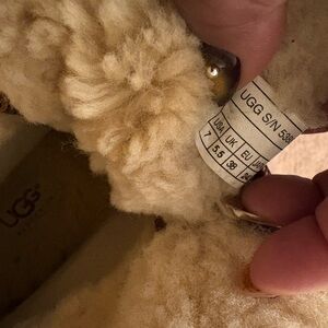 UGG Shearling Lined Ankle Booties